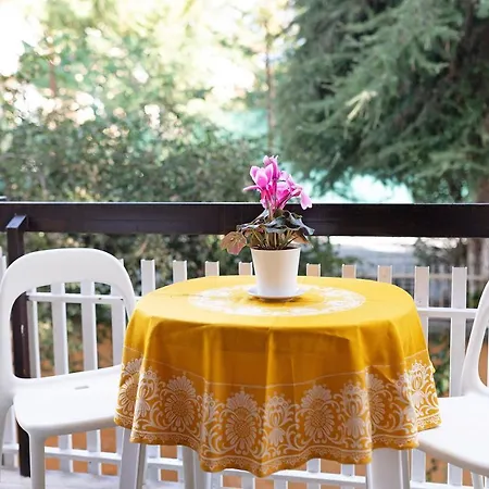 Orchidea Bilo5 Bis Apartman Diano Marina